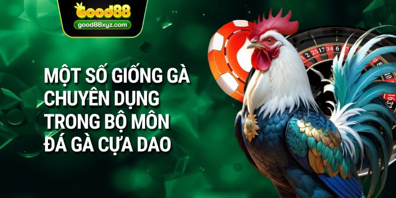 Một số giống gà chuyên dụng trong bộ môn đá gà cựa dao