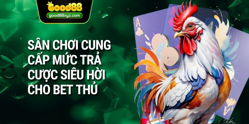 Sân chơi cung cấp mức trả cược siêu hời cho bet thủ